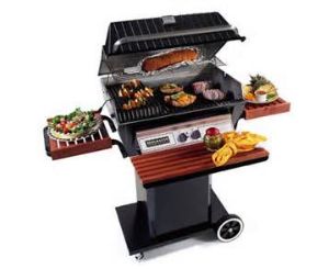 Barbecue Grills Outdoor Fire Pits, Weber Fire Pit Parts