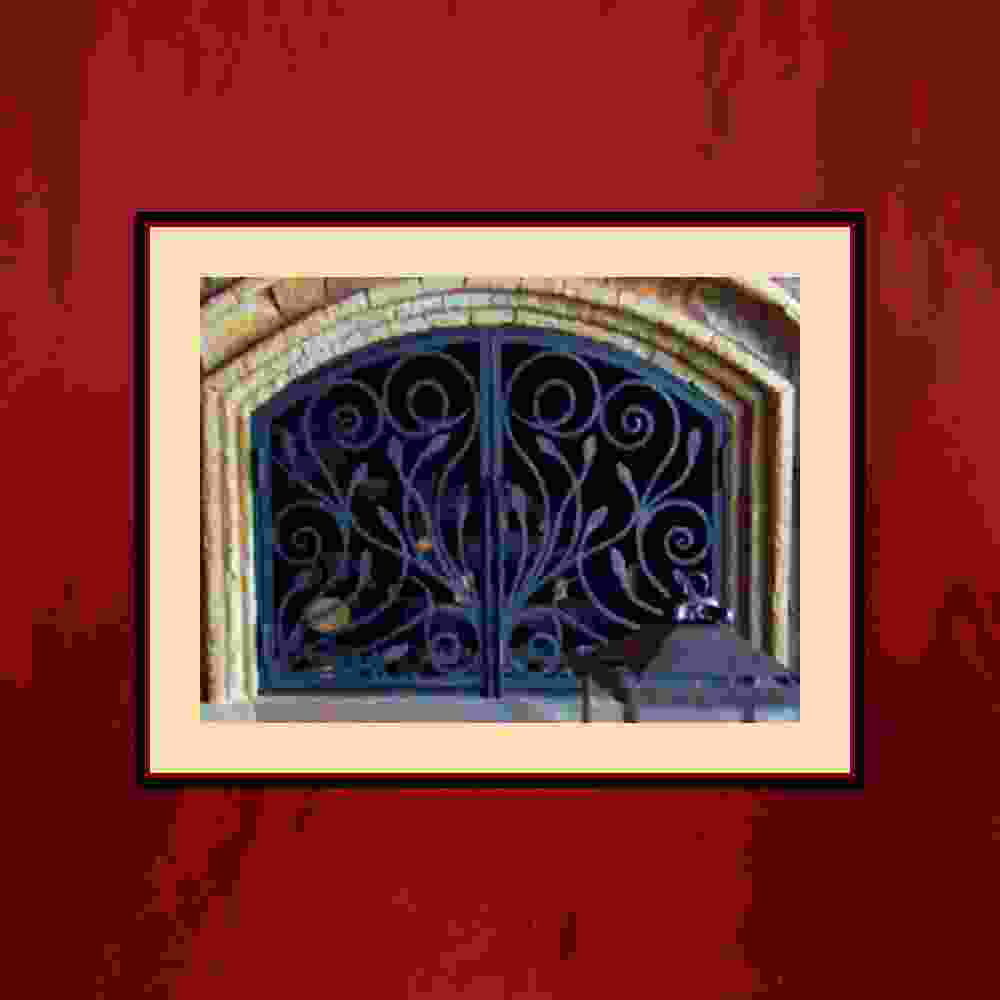 Wrought Iron Fireplace Screen Door